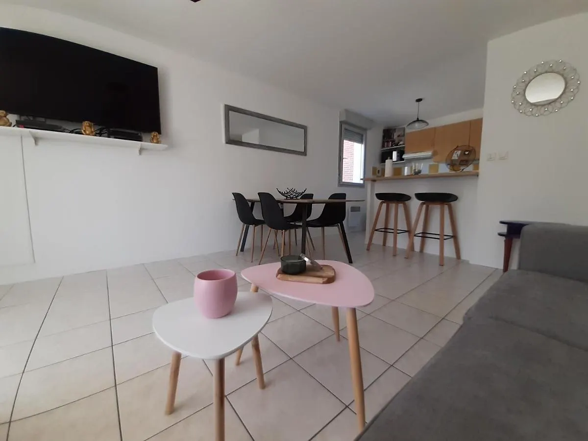 2 Bedrooms Confortable Wifi Fibre All Equipment Provided Near Airbus Alten Expleo Thales Sopra Toulouse
